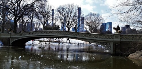 Puente en Cental Park Nueva York