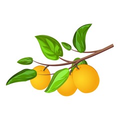 Tree peach branch icon cartoon vector. Cute seed