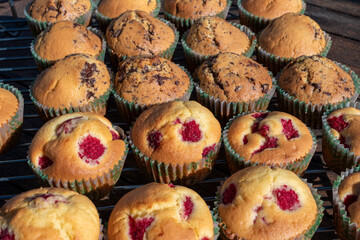 close up of cranberry and chocolate muffins