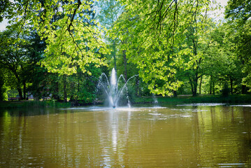 Lake with fountain at spa garden Bad Aibling, view through green branches at springtime.