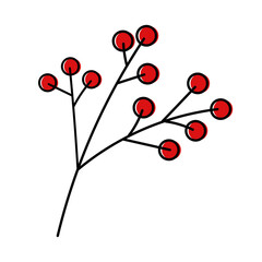 branch and berries