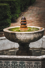 Water fountain in the garden