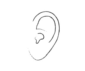 Human ear on a white background. Sketch. Vector illustration.