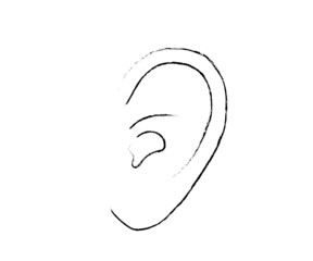 Human ear on a white background. Sketch. Vector illustration.