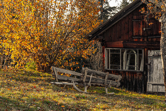 Abandoned Old Wooden House In Forest.