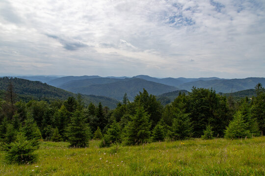 Amazing Cloudy Landscape in Mountains and Green Spices
