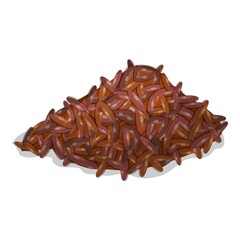 Brown rice icon cartoon vector. Healthy grain