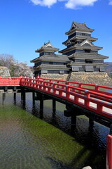 Obraz premium 松本城公園の桜