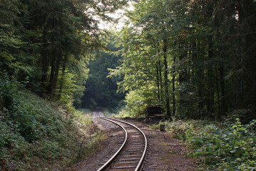 Fototapeta na wymiar tory kolejki wąskotorowej w lesie Bieszczady