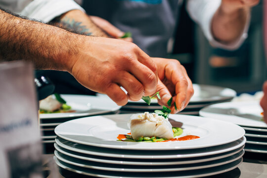 Professional chef arranging food plate with meat and vegetables