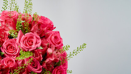 Deep red rose close up. Red rose. Deep red rose. Red rose macro scene