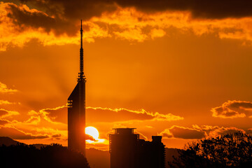 Obraz premium 夕日と福岡タワー