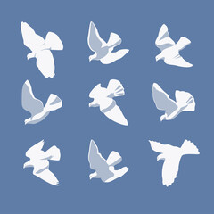 Fototapeta premium Pigeons, doves. Sign, symbol, drawing, vector illustration. Vector image of a flying bird, isolated design element.