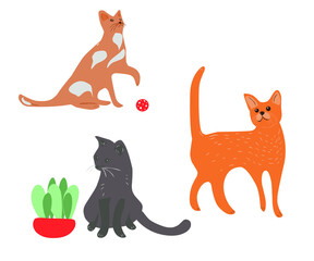 Fototapeta premium vector set of cats in a flat style and cartoon design on a white background, cats illustration
