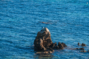 The rocky coast of the ancient island of Tabarca, in the Spanish Mediterranean, in front of Santa Pola, Alicante