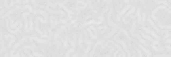 Imitation of a geographical map, shades of gray, vector design