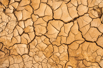 dry mud texture in arid soil.