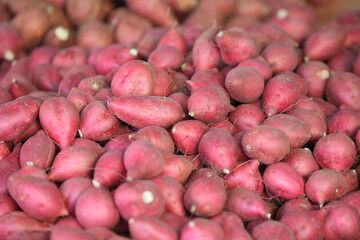 red sweet  potatoes