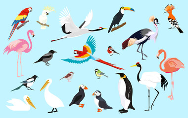 Set of birds. Vector design element