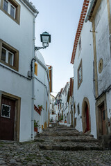 typical Alentejo street in Portugal, in the city of Castelo de Vide~.