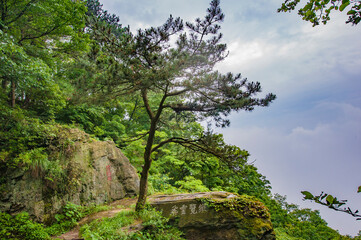 Chinese Lushan Landscape in Fog