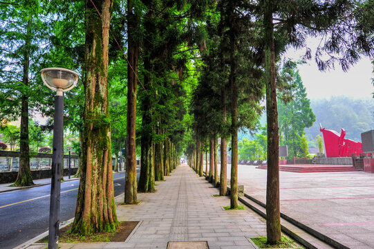 Jinggangshan Imagens – Procure 103 fotos, vetores e vídeos | Adobe Stock