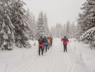 group of people walking in winter forest