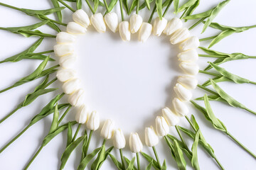 White tulips flowers in shape oh heart on white background. Valentines Day, Mothers day, Birthday, spring. Celebration concept. Greeting card, template. Copy space