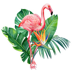 Tropical plants, Flamingo and green leaves on white background, watercolor illustration, jungle design