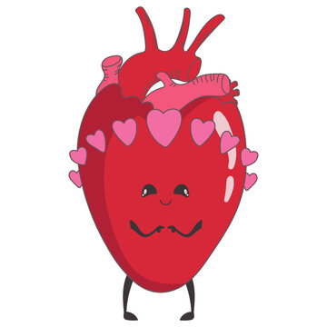 Vector illustration of a cute anatomical heart with a face. Valentine's day concept character in love.