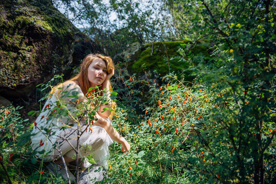 Beautiful dreamy woman in white dress  sitting among green rosehip bushes in summer forest. Portrait of a young romantic girl with red hair on the background of nature. Image of fairy-tale nymph.