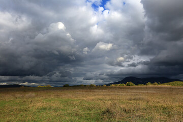 Beautiful summer landscape in a mountain valley