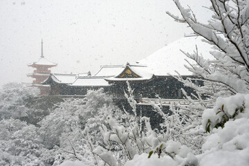 Fototapeta premium 雪の清水寺 三重塔と本堂遠望 京都市東山区