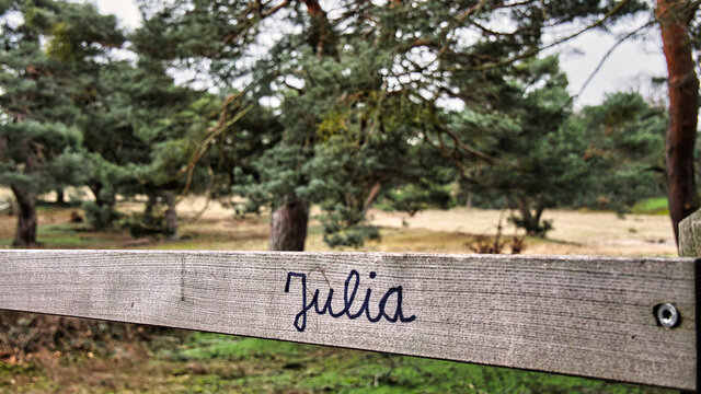 Am Geländer eines Holzbohlenwegs durch einen Park steht der Name "Julia" als Symbol für Gefühle, eine verlorene Liebe oder eine Suche nach einem Mädchen