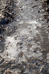 macro shot of a frozen puddle in winter