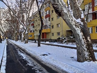 Snow-covered alley on Bistrita Independence Boulevard, Romania, 2022, January 