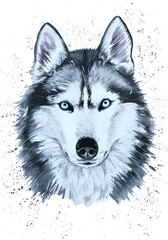husky dog watercolor hand drawn