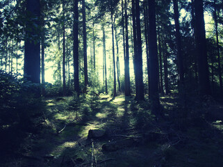 Obraz premium Licht und Schatten