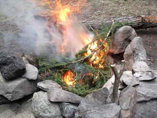 Orange flame of campfire.Sibiria.     Altay region, Russia       