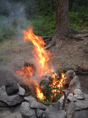 Orange flame of campfire.Sibiria.     Altay region, Russia       