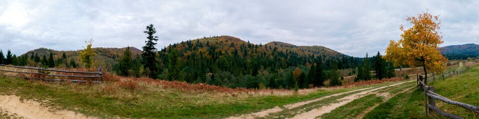 Panorama of autumn tree on a large lawn.