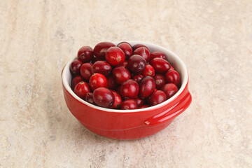 Ripe sweet tasty cranberry in the bowl