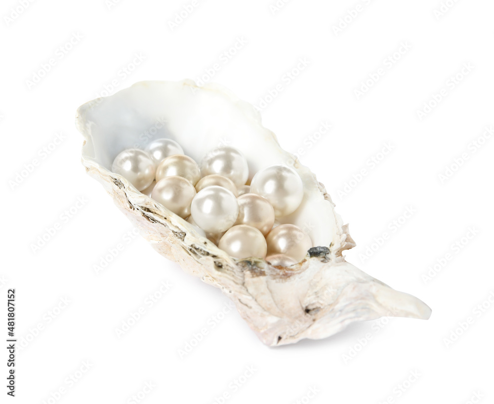 Canvas Prints Oyster shell with different pearls on white background