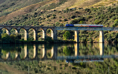 historic train on a bridge of the douro line in the middle of the port wine vineyards.