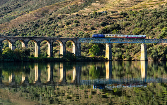 historic train on a bridge of the douro line in the middle of the port wine vineyards.