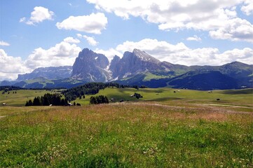 Fototapeta premium Seiseralm in den Dolomiten