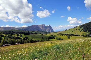 Seiseralm in den Dolomiten