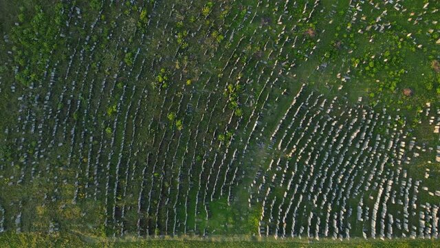 Aerial shot city Brody. Jewish cemetery. Ukraine