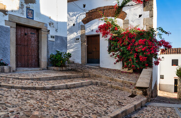 Fototapeta na wymiar Flowers decorate a small square with stairs in the old town of medieval city of Caceres in Extremadura, Spain 