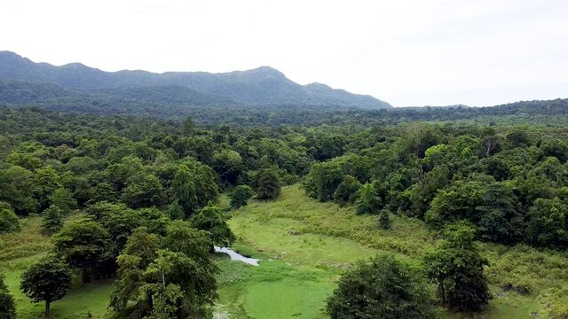 Lowering towards wetland ecosystem habitat in forest landscape of Ira Lalaro, Nino Konis Santana National Park, Timor Leste, aerial drone lowering